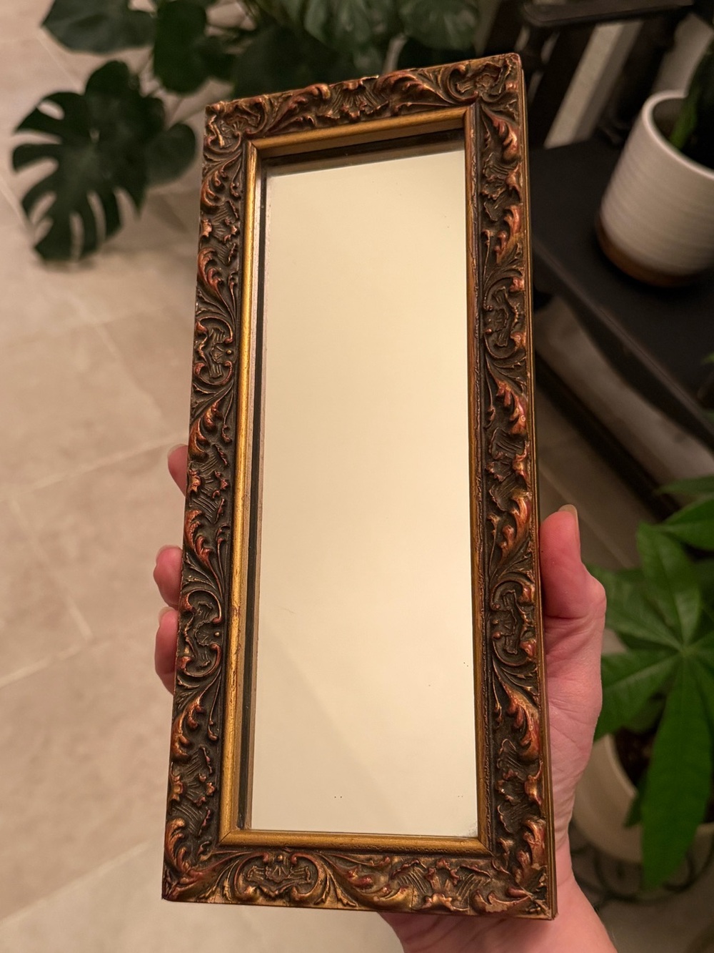 Moody Rectangle Vintage Gold & Bronze Gallery Wall Accent Mirror